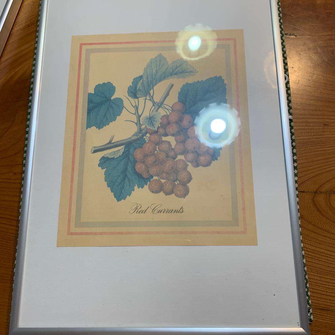 Redcurrant Lithograph with Aluminum Frame