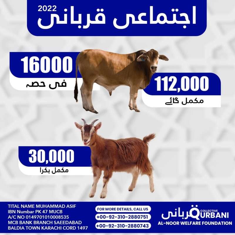 Ijtimai Qurbani - Collective Sacrifice 9 Ijtimai Qurbani - Collective Sacrifice