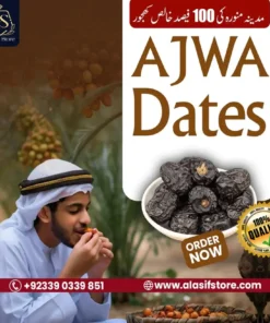 Ajwa Dates (300 Gram)