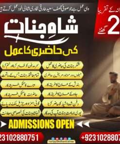 Shah Jinnat ke Rohani Amal ka Babarkat Aaghaz