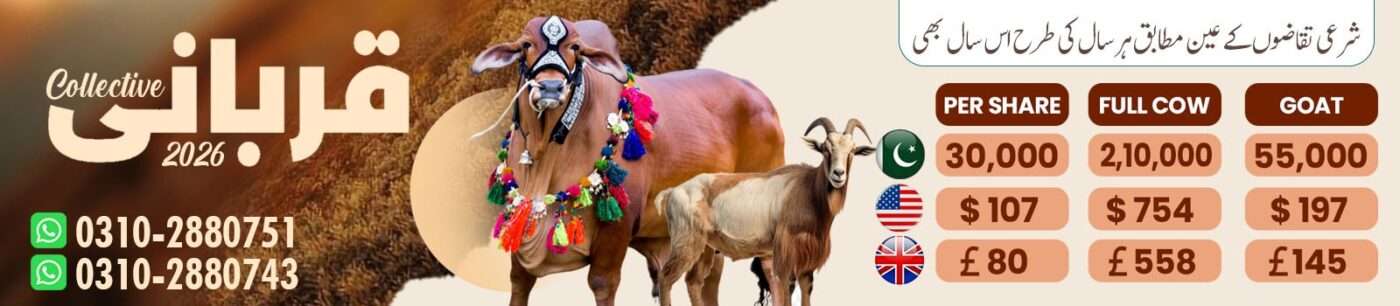 Ijtimai Qurbani 2026